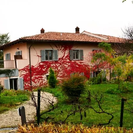 Cantina * Cissone